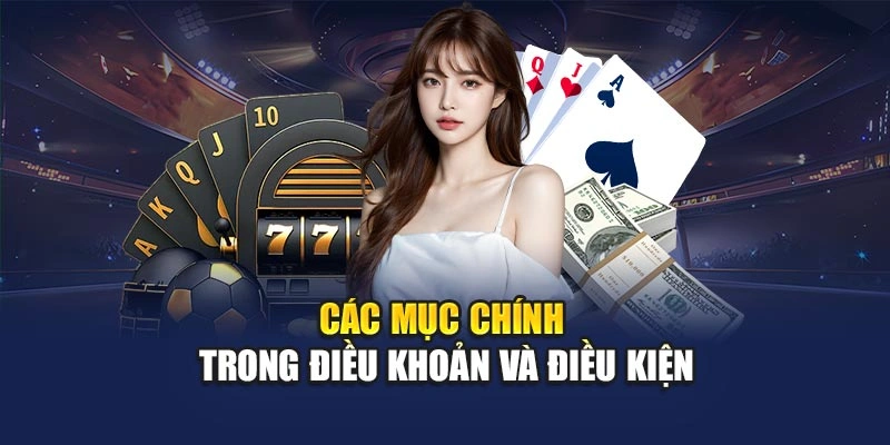 Các mục chính trong điều khoản và điều kiện